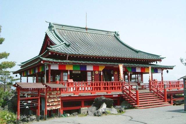 駒*ん様 アツモリソウ(厚岸) 北海道産コアツモリソウ-アツモリソウ・野生ラン・高山植物販売